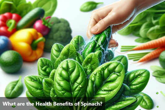 A hand holding a bunch of fresh spinach.