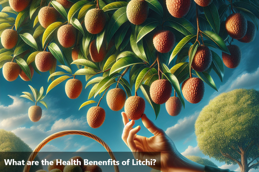 A hand picking a brown litchi fruit from a tree.