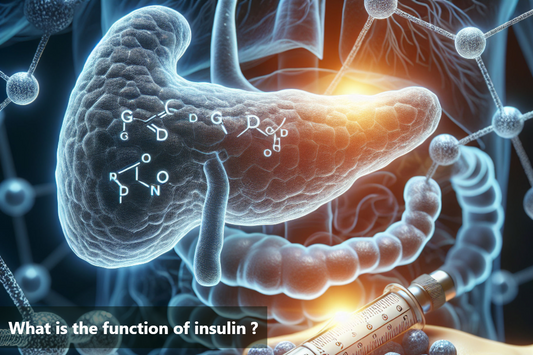 A close-up of a syringe injecting insulin into a 3D model of the pancreas.