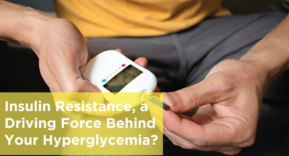Insulin Resistance, a Driving Force Behind Your Hyperglycemia?