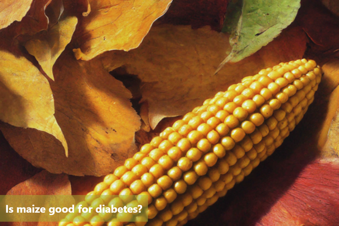 A close-up image of a corn cob with dried autumn leaves in the background.