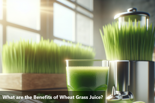 A glass of wheatgrass juice on a table next to a wheatgrass plant.