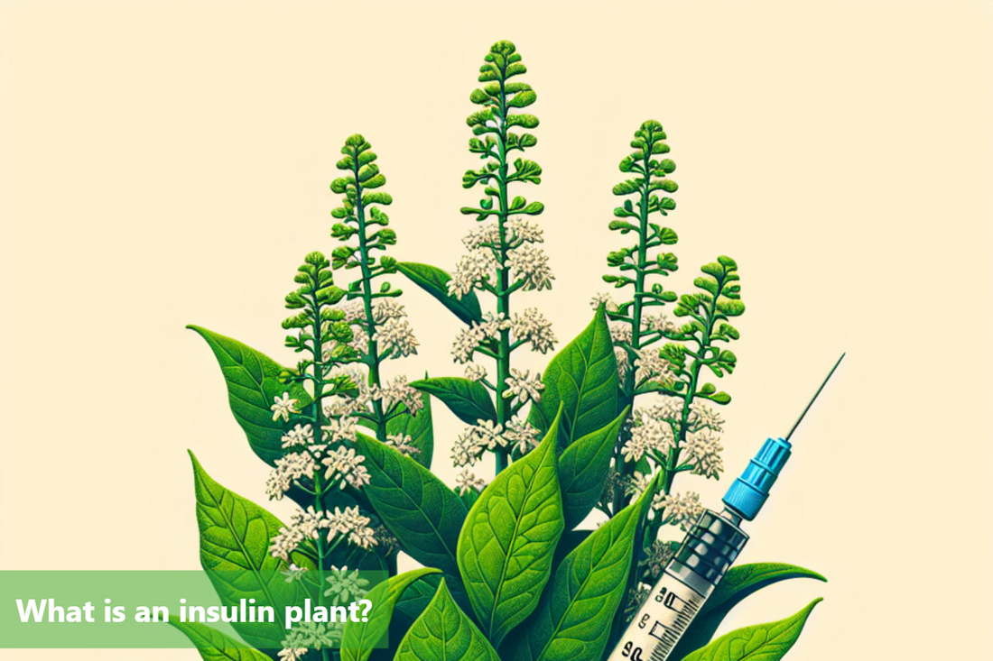 A close-up image of an insulin plant, with a syringe next to it.