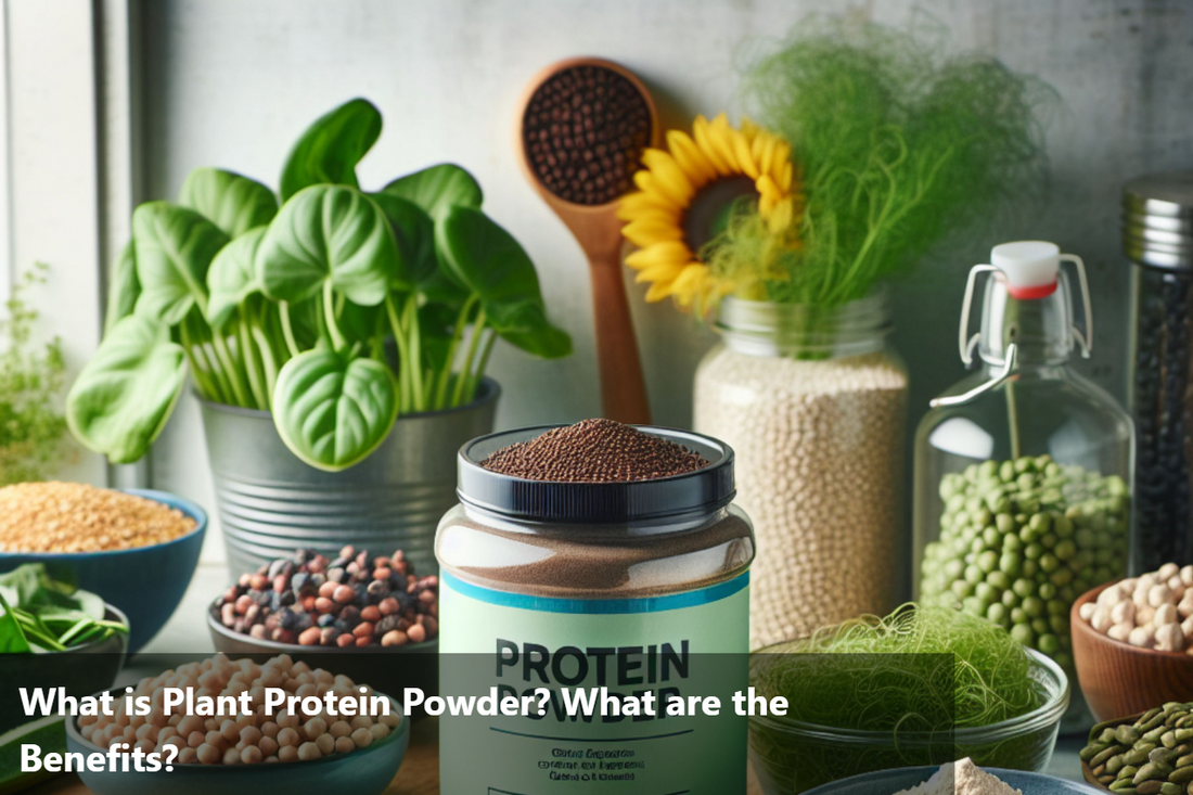 A banner image of a jar of plant protein powder with various plant-based ingredients in the background.