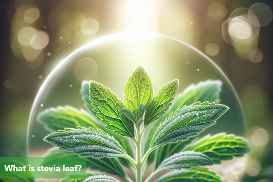 A close-up image of a stevia leaf plant.