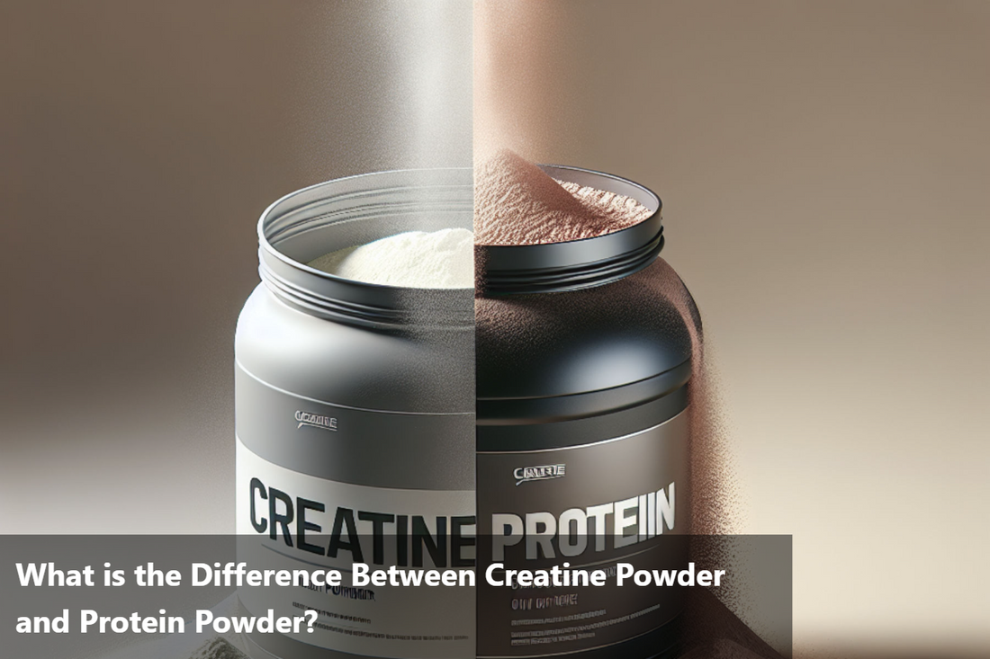 A close-up of a container of creatine powder and a container of protein powder.