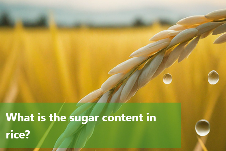 Sugar Control Rice Decoding Rice Sugar Content: Facts & Myths – DiabeSmart