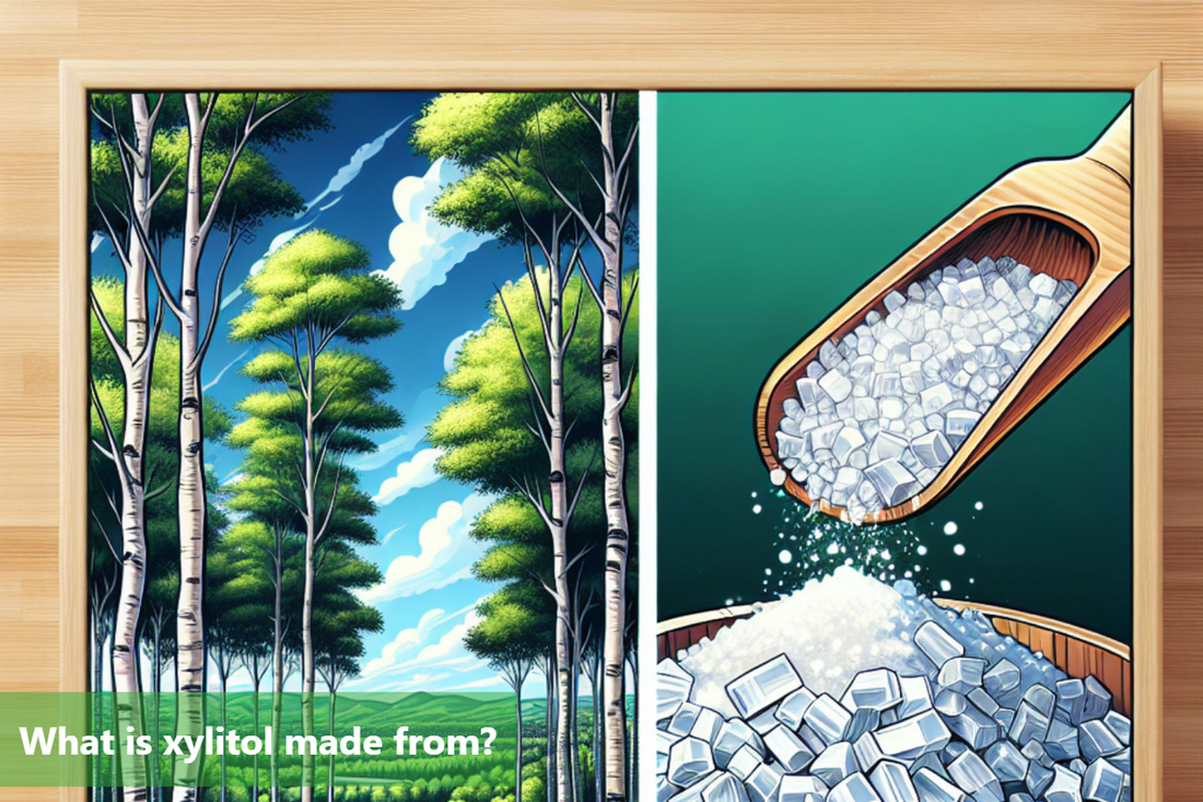 A wooden scoop is shown pouring xylitol crystals into a wooden bowl, with a forest of birch trees in the background.