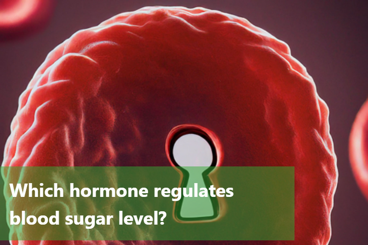 which-hormone-lowers-blood-sugar-levels-diabesmart